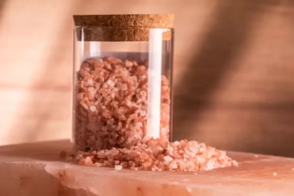 edible salt exporter