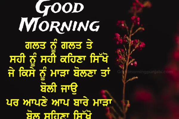Heartwarming Good Morning Punjabi: Images for Inspiration